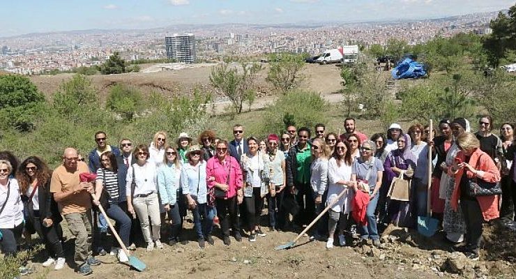 Büyükelçi Eşleri Bademlidere’ye Fidan Dikti