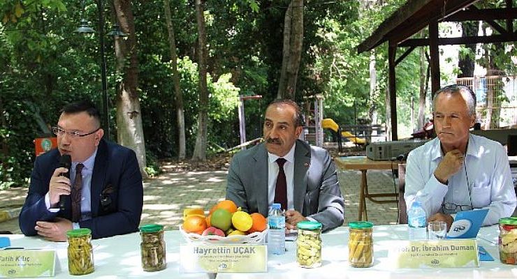 Kornişon ihracatında hedef pestisitsiz üretimle 200 milyon dolara ulaşmak