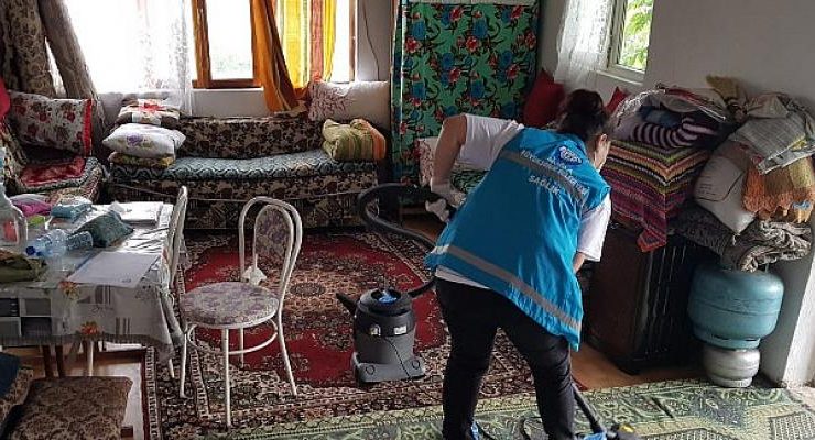 Muğla Büyükşehir Belediyesi  Kırsaldaki Çınarlarına sahip çıkıyor